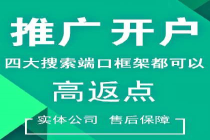 探索信息流广告投放公司的成功案例与经验